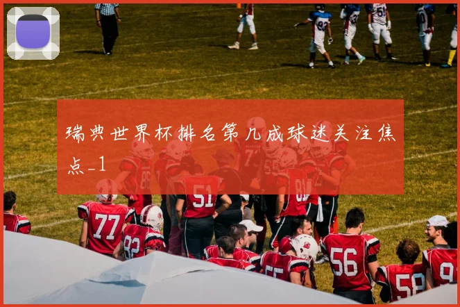 瑞典世界杯排名第几成球迷关注焦点_1