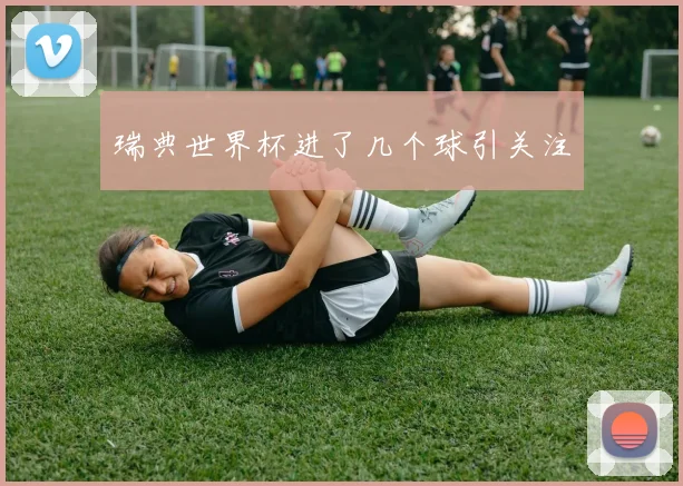 瑞典世界杯进了几个球引关注