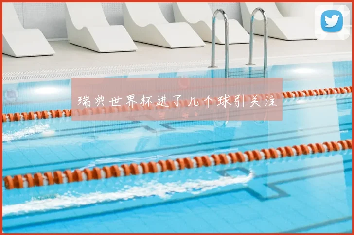瑞典世界杯进了几个球引关注