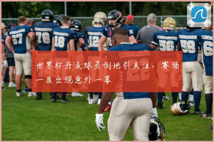 世界杯丹麦球员倒地引关注,赛场一度出现意外一幕